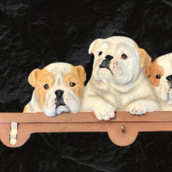 Dog Lover's Bull Dog Puppies 3D Wall Mount Mail & Keys Organizer - Picture 3 of 9